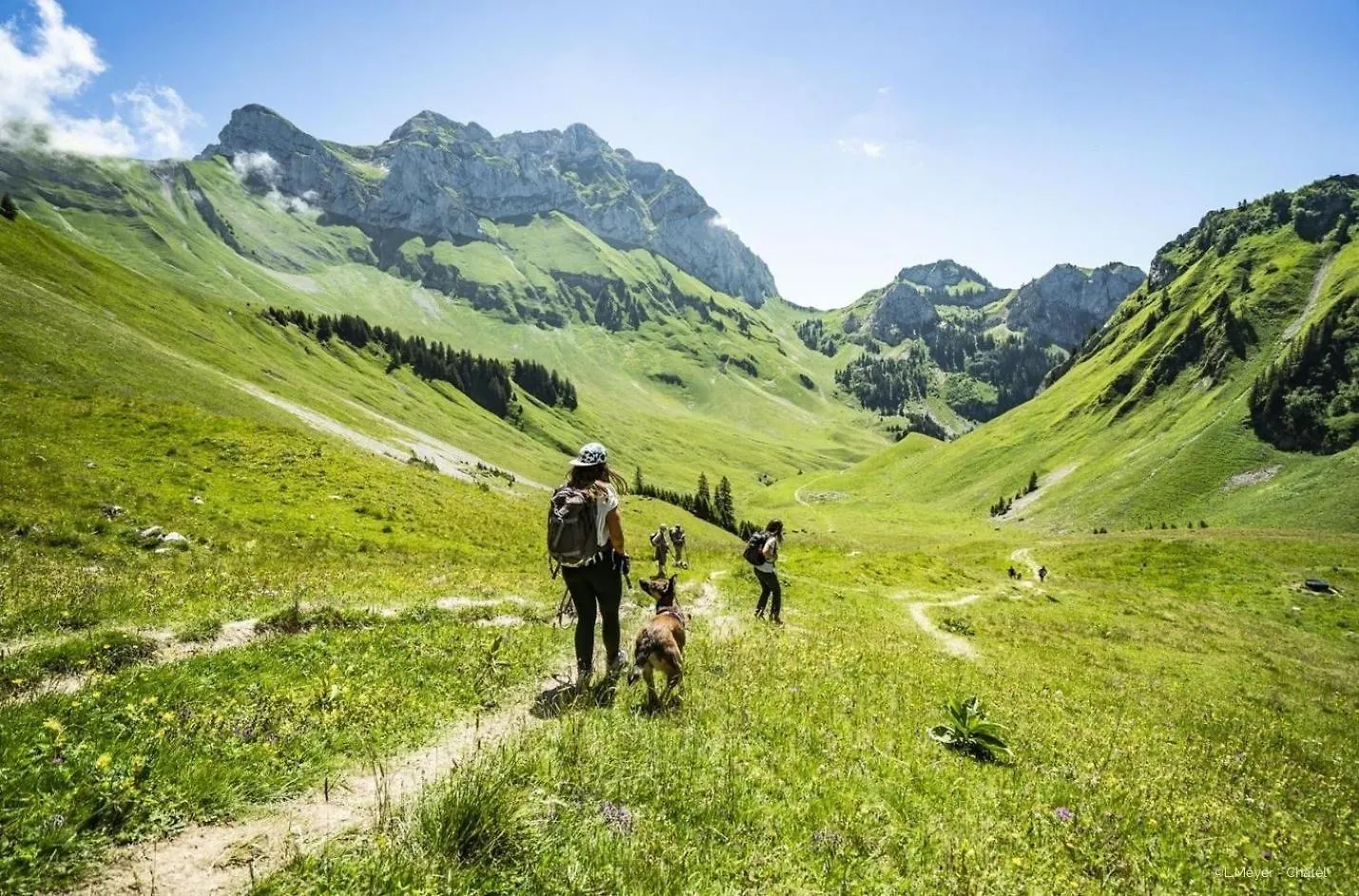 Veronica Vr51 Nature & Mountain 6 Pers Chatel Apartment