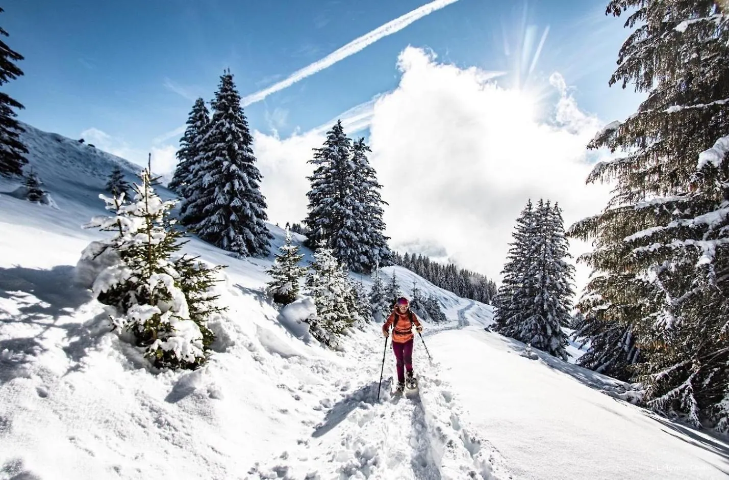 Apartment Veronica Vr51 Nature & Mountain 6 Pers Chatel France